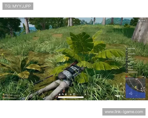 《Twisted Minds绝地求生战术解析与高手策略分享》