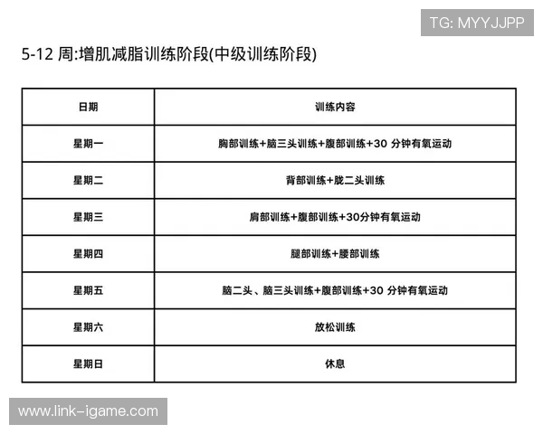 打造强健体魄：科学健身计划与有效训练方法全攻略