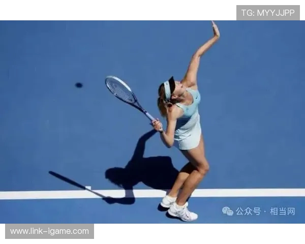 北京网球队的训练节奏与战术解析深度剖析网球运动的魅力与挑战