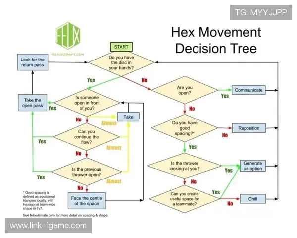 深圳飞盘队意识表现的深度数据分析与战术探讨