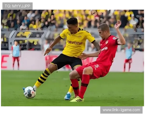 多特蒙德与奥地利维也纳精彩对决全场录像回放及精彩瞬间分析